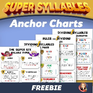 Cover for syllable types free anchor charts
