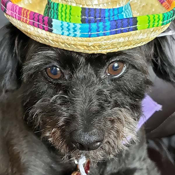 dusty2.jpg